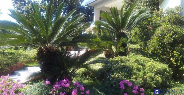 casa indipendente in vendita a Carrara
