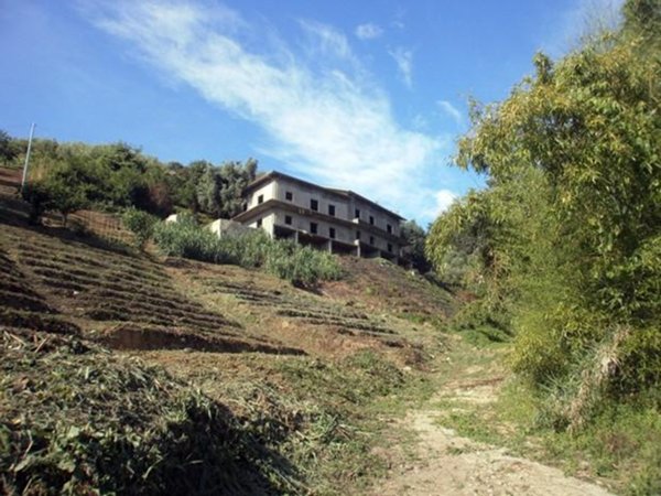 intera palazzina in vendita a Carrara in zona Bonascola