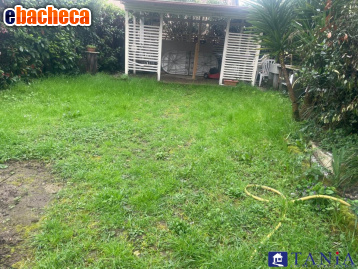 casa indipendente in vendita a Carrara in zona Marasio