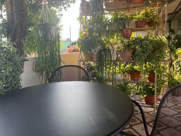 negozio in vendita a Carrara in zona Avenza