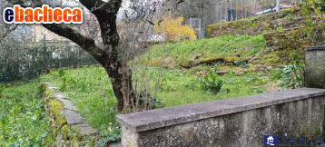 appartamento in vendita a Carrara in zona Codena