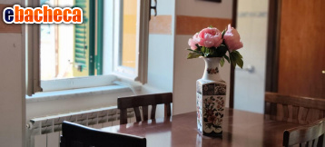 appartamento in vendita a Carrara in zona Miseglia