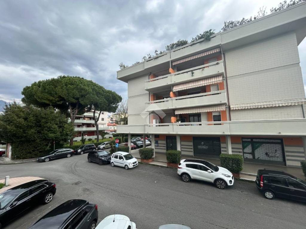 appartamento in vendita a Carrara in zona Avenza