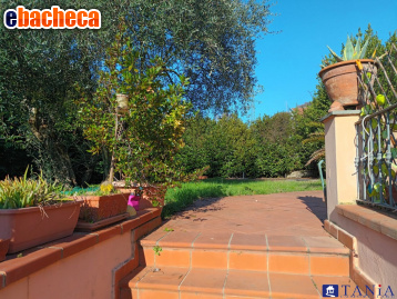 casa indipendente in vendita a Carrara in zona Monteverde