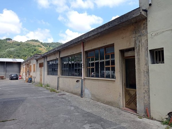 capannone in vendita a Carrara