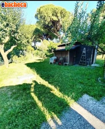 appartamento in vendita a Carrara in zona Avenza