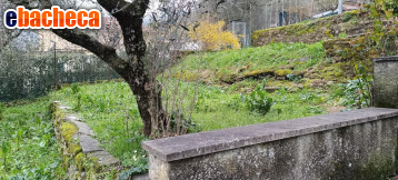 appartamento in vendita a Carrara in zona Codena