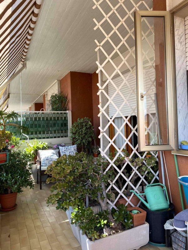 appartamento in vendita a Carrara in zona Avenza