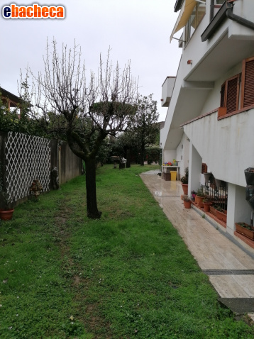 casa indipendente in vendita a Carrara in zona Avenza