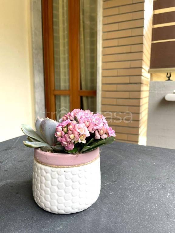 appartamento in vendita a Carrara in zona Avenza