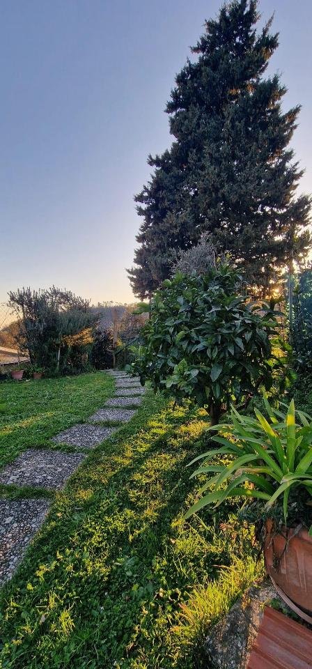 appartamento in vendita a Carrara in zona Torano