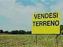 terreno agricolo in vendita a Carrara