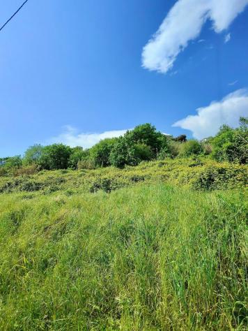 terreno agricolo in vendita a Carrara in zona Monteverde