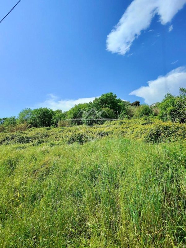 terreno agricolo in vendita a Carrara in zona Fossola