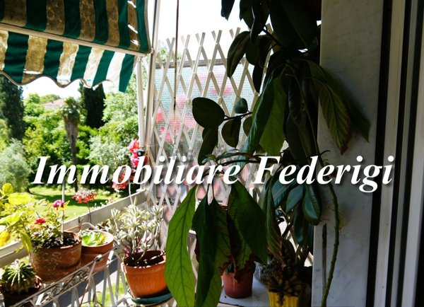 appartamento in vendita a Carrara in zona Marina di Carrara