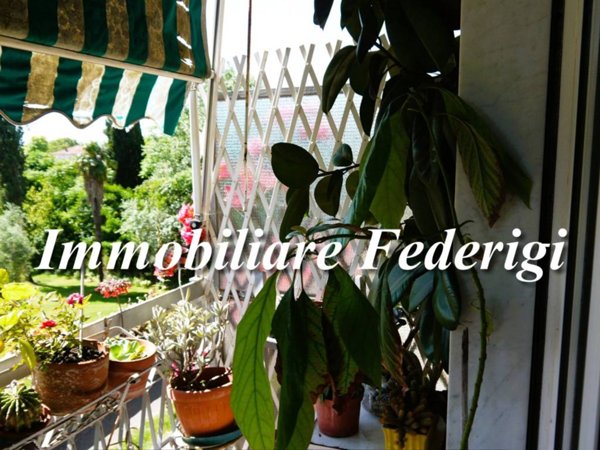 appartamento in vendita a Carrara in zona Marina di Carrara