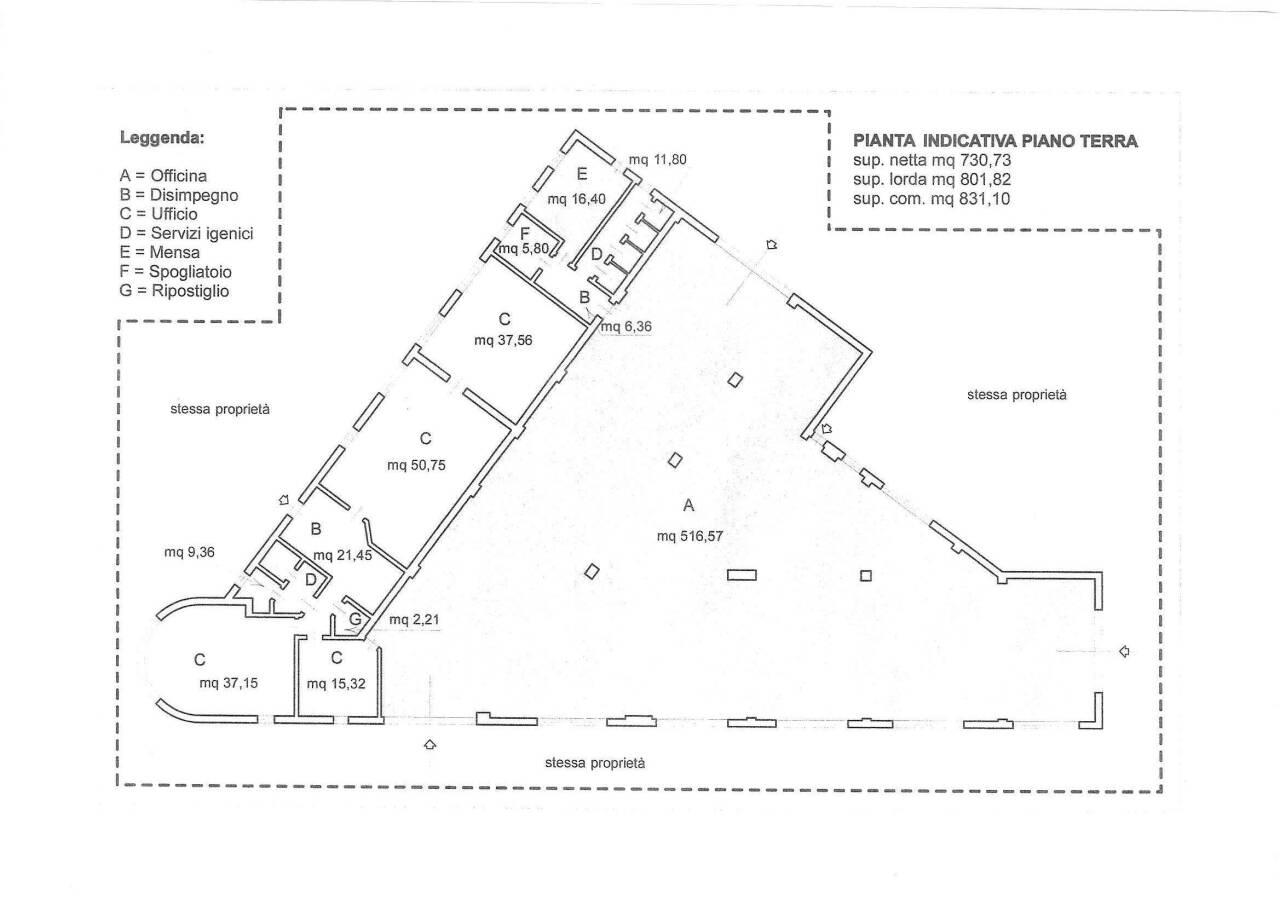 esavano in vendita a Carrara