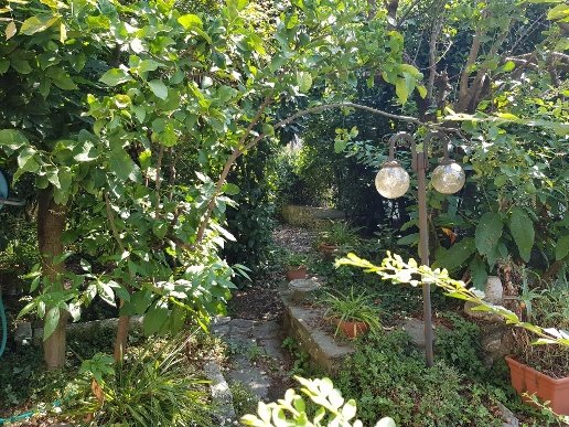 casa indipendente in vendita a Carrara in zona Fossola