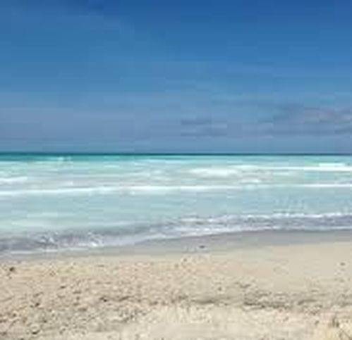 casa indipendente in vendita a Carrara in zona Marina di Carrara