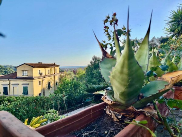 appartamento in vendita a Carrara in zona Stabbio