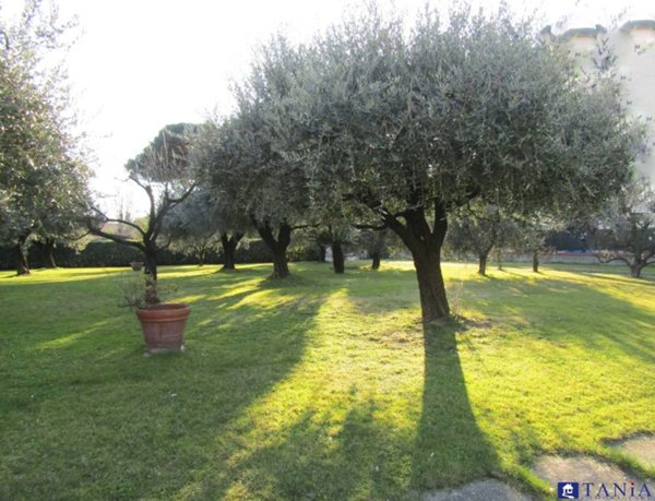 casa indipendente in vendita a Carrara in zona Marina di Carrara