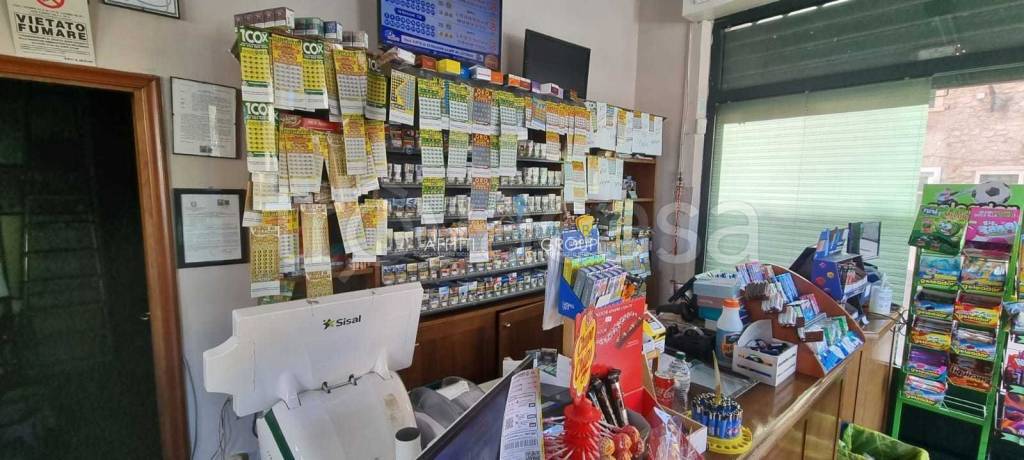 trivano in vendita a Carrara in zona Avenza