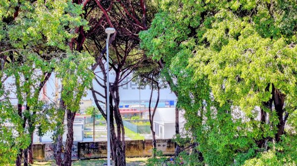appartamento in vendita a Carrara in zona Marina di Carrara