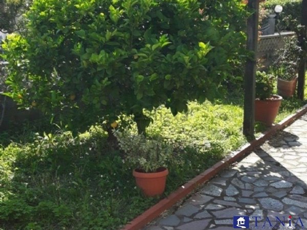 casa indipendente in vendita a Carrara in zona Fossone