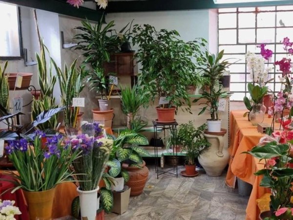 negozio in vendita a Carrara