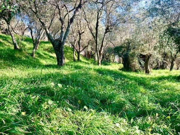 terreno agricolo in vendita a Carrara in zona Fossone