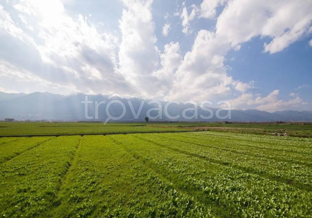 terreno agricolo in vendita a Carrara in zona Avenza