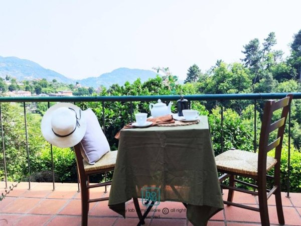 casa indipendente in vendita a Carrara in zona Sorgnano