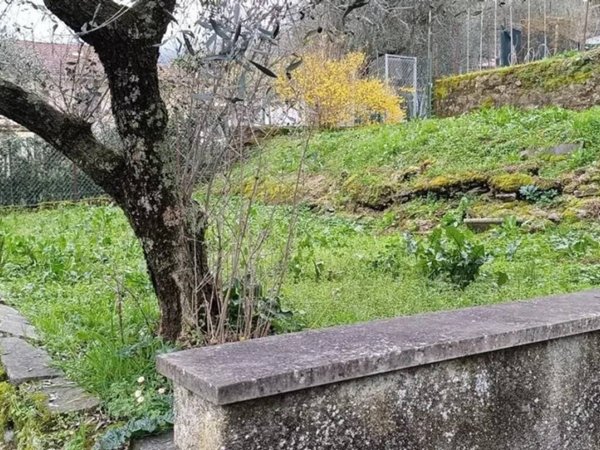 appartamento in vendita a Carrara in zona Codena