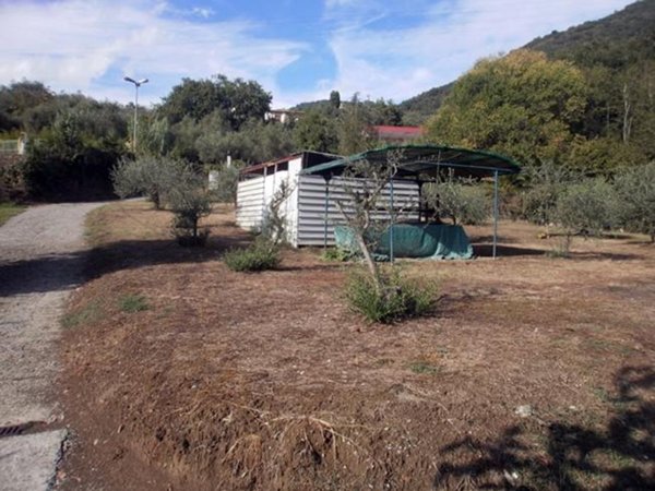 terreno agricolo in vendita a Carrara in zona Fossone