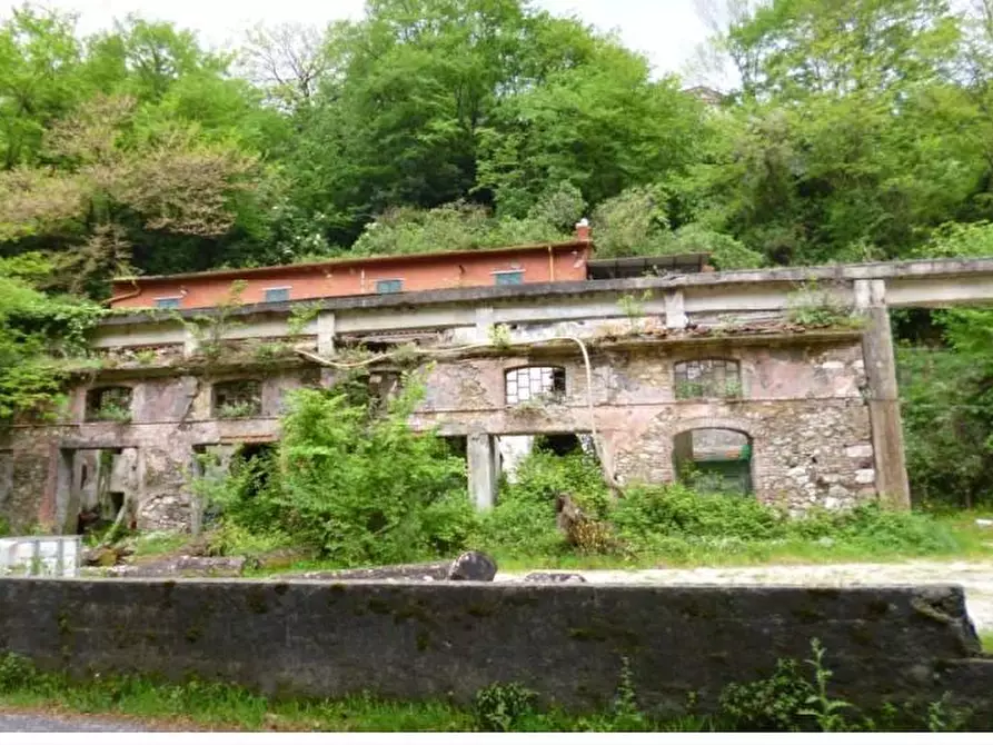 terreno agricolo in vendita a Carrara in zona Fabbrica