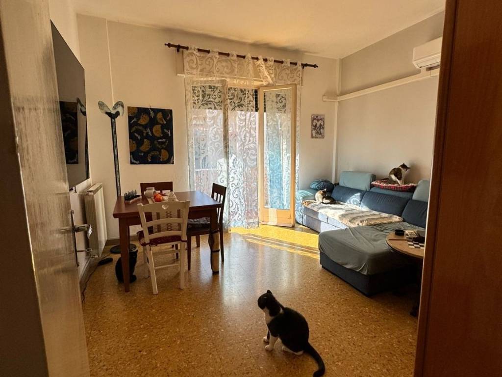 appartamento in vendita a Carrara in zona Marasio