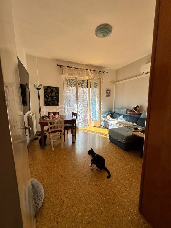 appartamento in vendita a Carrara in zona Fabbrica