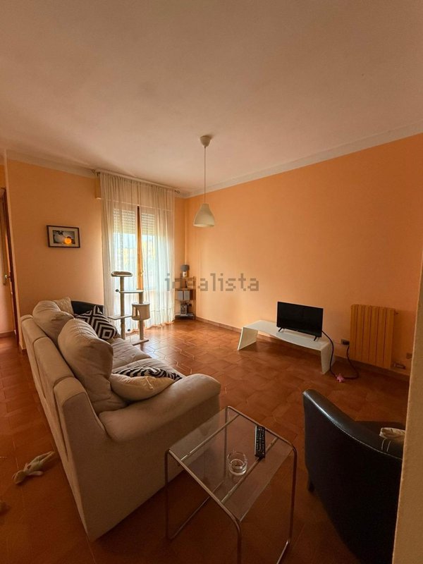 appartamento in vendita a Carrara in zona Avenza