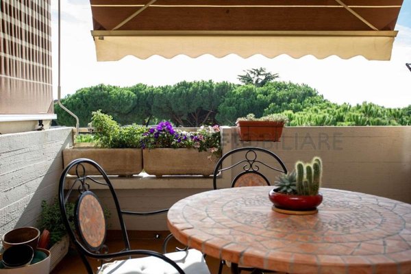 appartamento in vendita a Carrara in zona Avenza