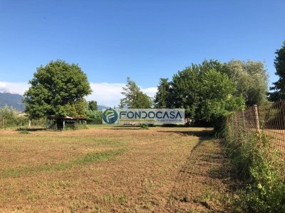 terreno agricolo in vendita a Carrara