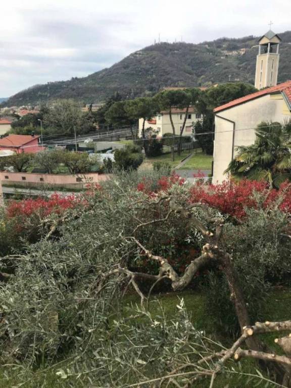 casa indipendente in vendita a Carrara in zona Fabbrica