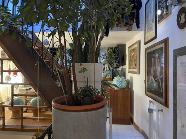 casa indipendente in vendita a Carrara in zona Centro Città