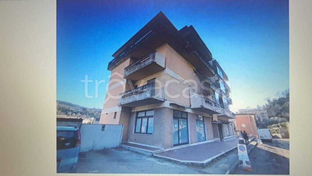 appartamento in vendita a Carrara