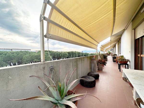 appartamento in vendita a Carrara in zona Centro Città