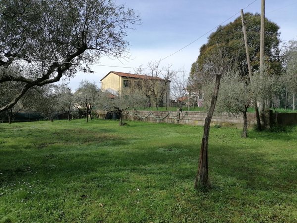 casa indipendente in vendita a Carrara in zona Bonascola