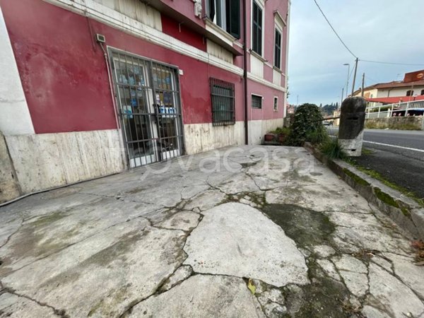 negozio in vendita a Carrara in zona Bonascola