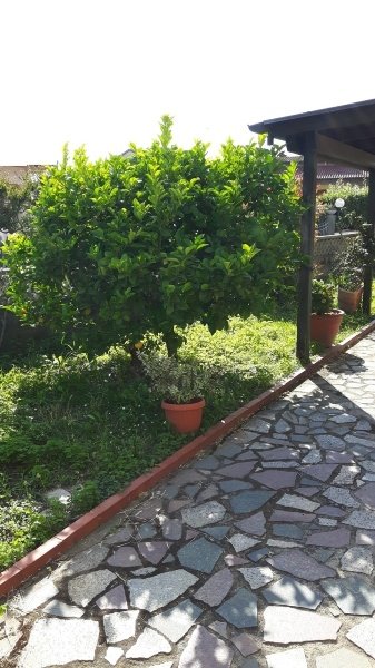 casa indipendente in vendita a Carrara in zona Fossone