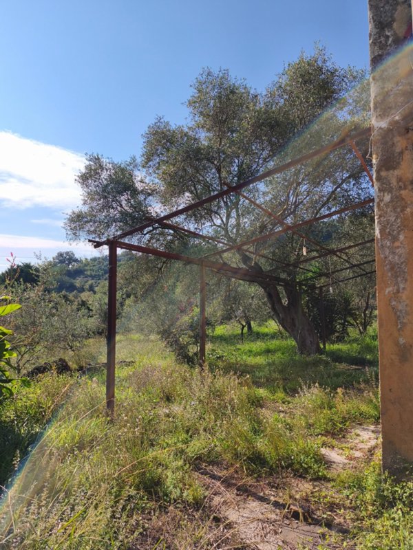casa indipendente in vendita a Carrara in zona Monteverde