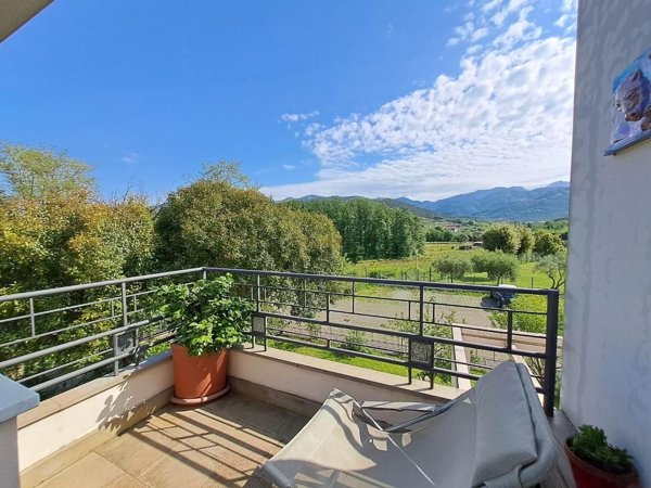 appartamento in vendita a Carrara