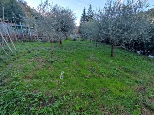 terreno agricolo in vendita a Carrara in zona Codena